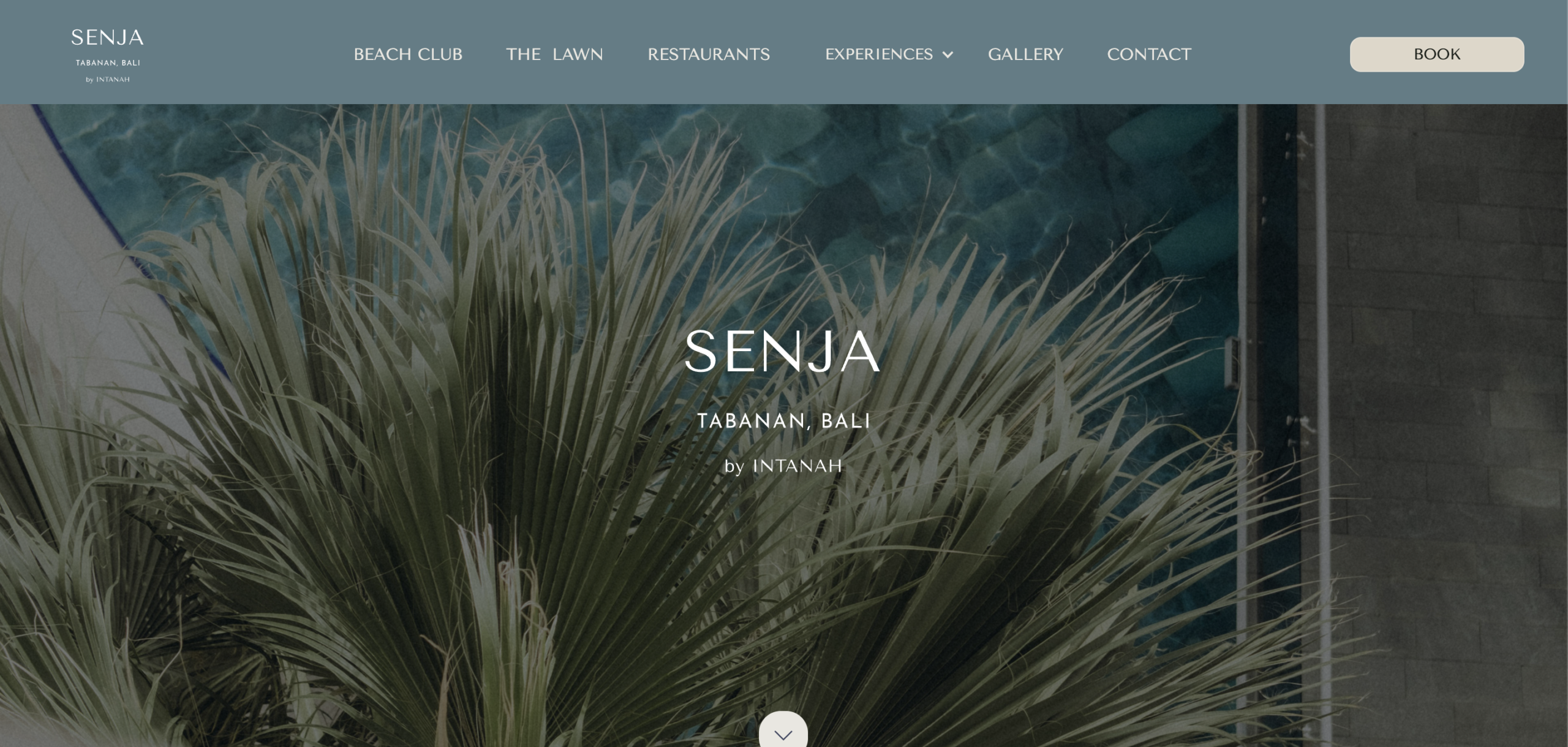 Senja Beach Club website designed and developed by Mr Content Asia